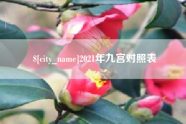昌邑2021年九宫对照表