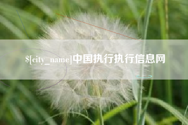 昌邑中国执行执行信息网