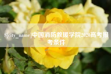 昌邑中国消防救援学院2020高考报考条件