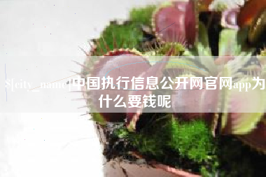 昌邑中国执行信息公开网官网app为什么要钱呢