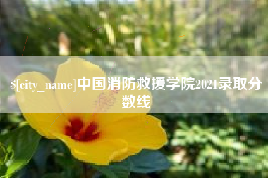 昌邑中国消防救援学院2021录取分数线
