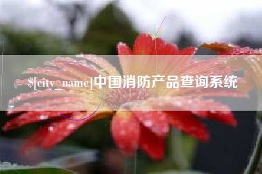 昌邑中国消防产品查询系统