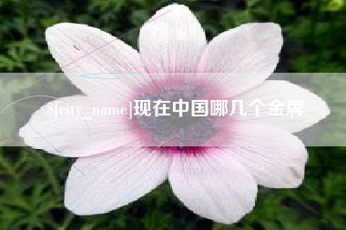 昌邑现在中国哪几个金牌
