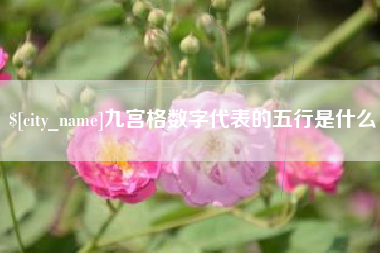 昌邑九宫格数字代表的五行是什么