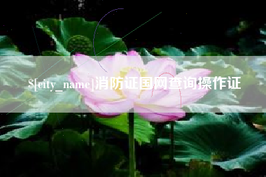 昌邑消防证国网查询操作证