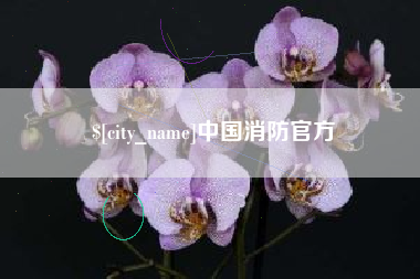 昌邑中国消防官方