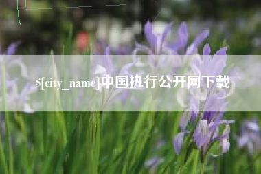 昌邑中国执行公开网下载
