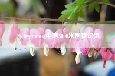 昌邑中国5000米国家记录