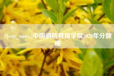 昌邑中国消防救援学院2020年分数线