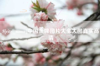 昌邑中国金牌图片大全大图真实高清