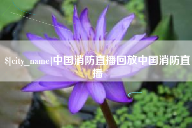 昌邑中国消防直播回放中国消防直播