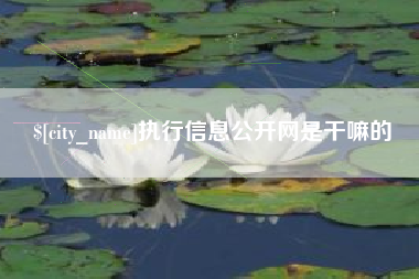 昌邑执行信息公开网是干嘛的
