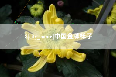 昌邑中国金牌样子