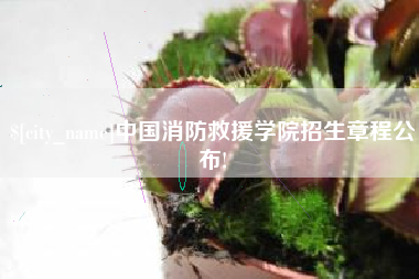 昌邑中国消防救援学院招生章程公布!