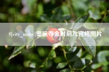 昌邑奥运夺金时刻九宫格图片
