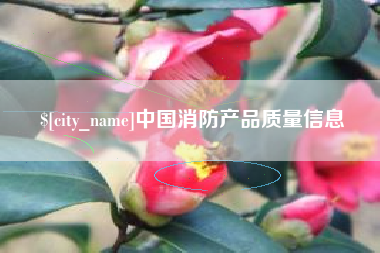 昌邑中国消防产品质量信息