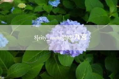 昌邑2022九宫