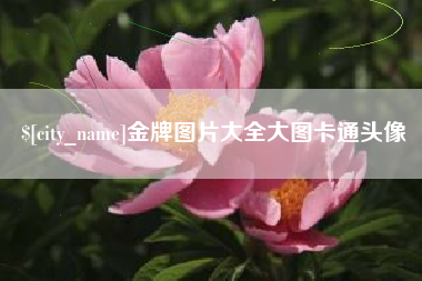 昌邑金牌图片大全大图卡通头像