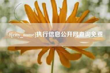 昌邑执行信息公开网查询免费