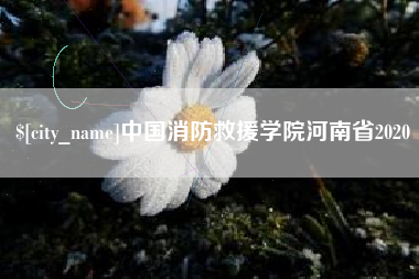 昌邑中国消防救援学院河南省2020